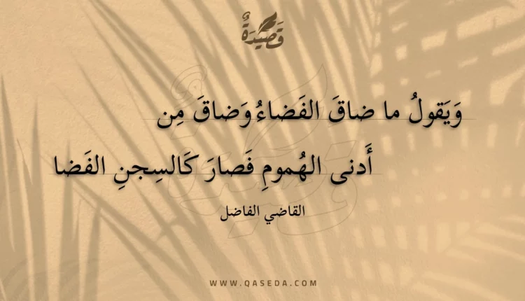 قصيدة ويقول ما ضاق الفضاء وضاق من