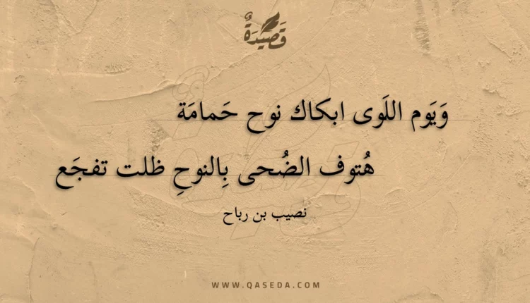 قصيدة ويوم اللوى ابكاك نوح حمامة
