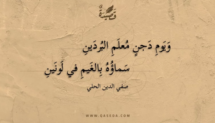 قصيدة ويوم دجن معلم البردين