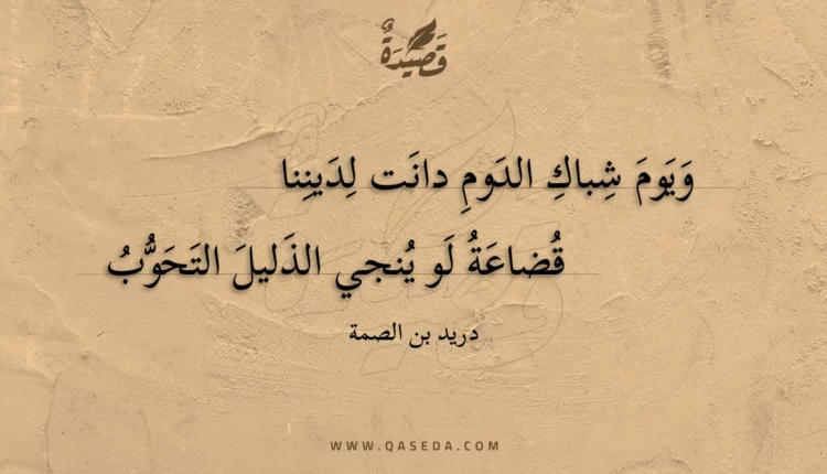 قصيدة ويوم شباك الدوم دانت لديننا