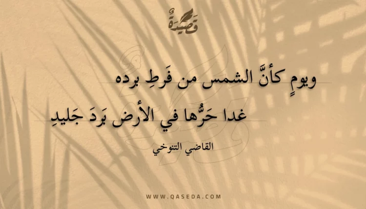 قصيدة ويوم كأن الشمس من فرط برده