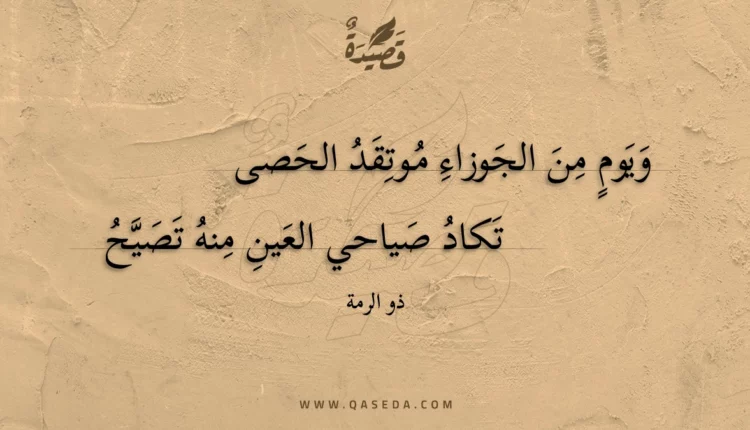 قصيدة ويوم من الجوزاء موتقد الحصى