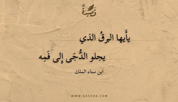 قصيدة يأيها البرق الذي