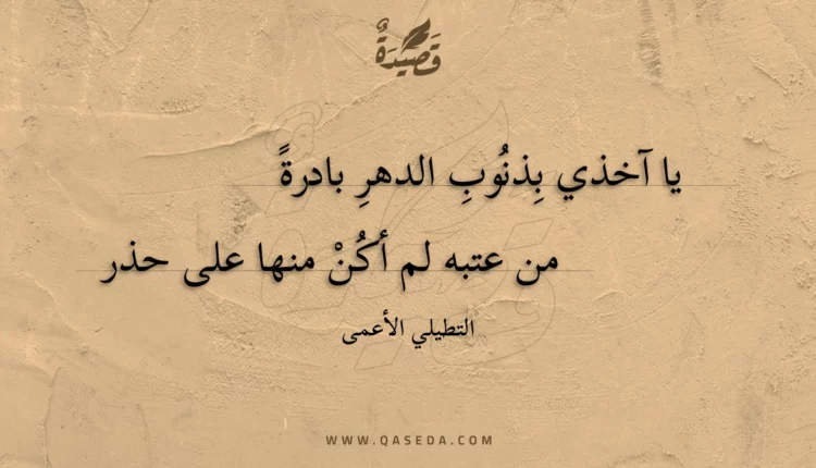 قصيدة يا آخذي بذنوب الدهر بادرة
