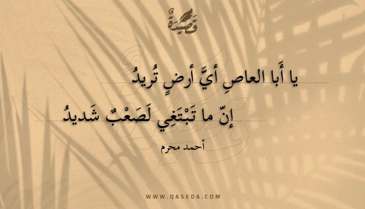 قصيدة يا أبا العاص أي أرض تريد