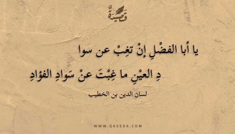 قصيدة يا أبا الفضل إن تغب عن سوا