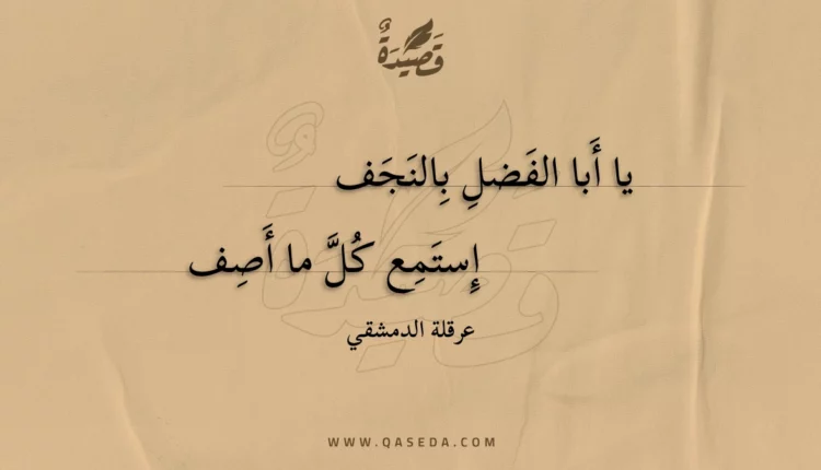 قصيدة يا أبا الفضل بالنجف