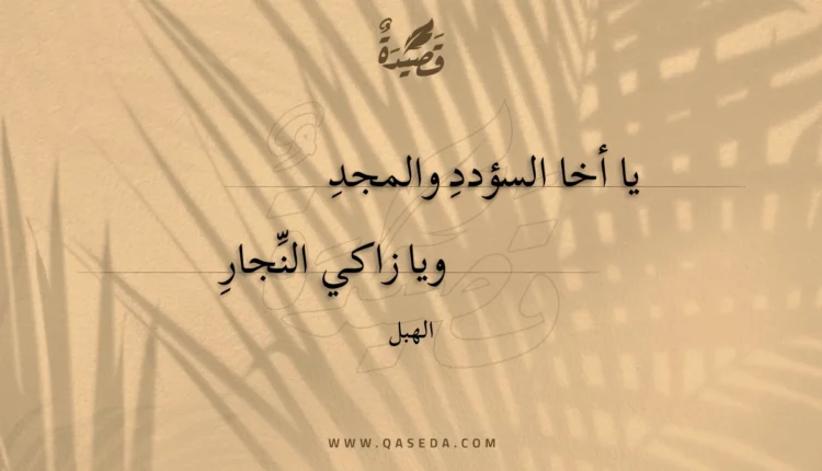 قصيدة يا أخا السؤدد والمجد