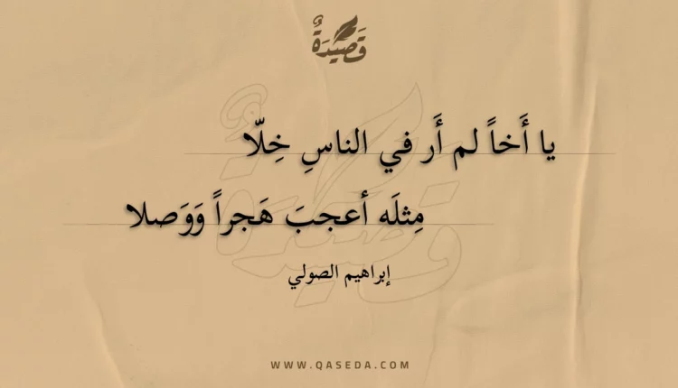 قصيدة يا أخا لم أر في الناس خلا