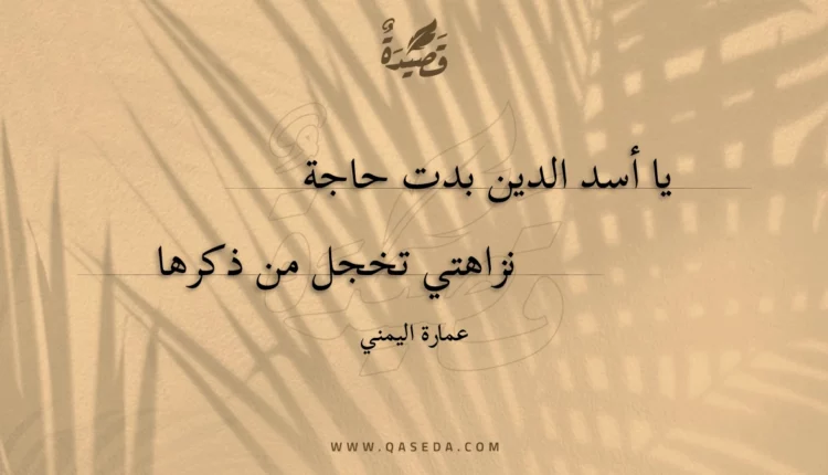 قصيدة يا أسد الدين بدت حاجة