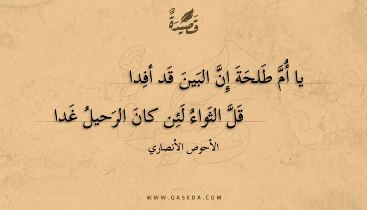قصيدة يا أم طلحة إن البين قد أفدا