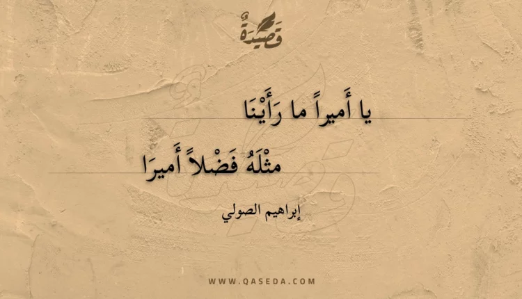 قصيدة يا أميرا ما رأينا