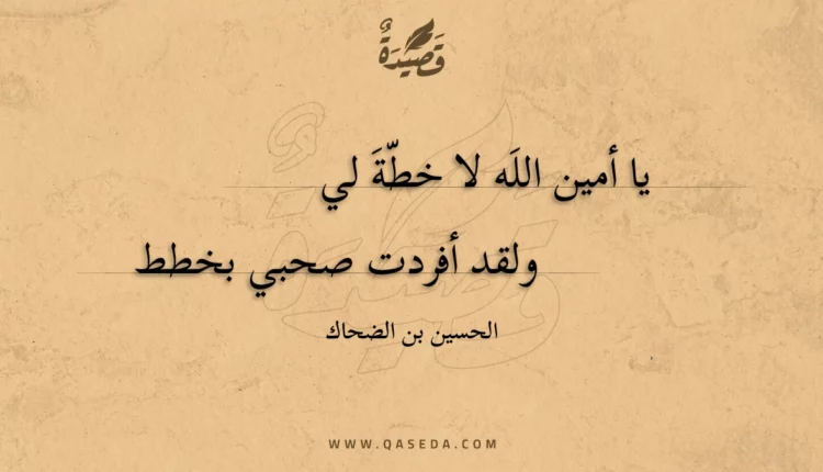 قصيدة يا أمين الله لا خطة لي