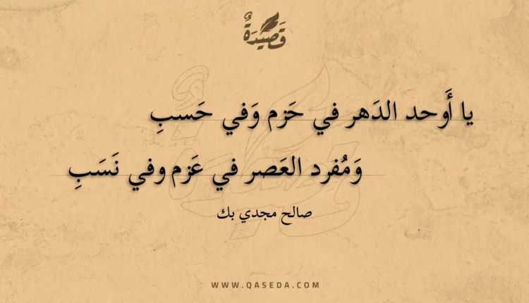 قصيدة يا أوحد الدهر في حزم وفي حسب