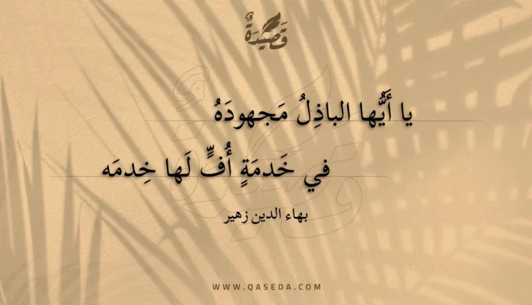قصيدة يا أيها الباذل مجهوده