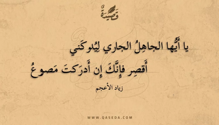 قصيدة يا أيها الجاهل الجاري ليدركني