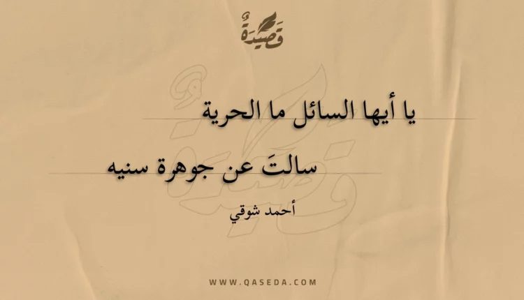 قصيدة يا أيها السائل ما الحرية