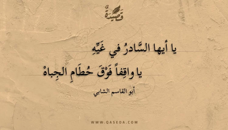 قصيدة يا أيها السادر في غيه