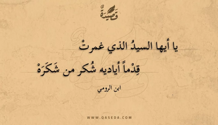 قصيدة يا أيها السيد الذي غمرت