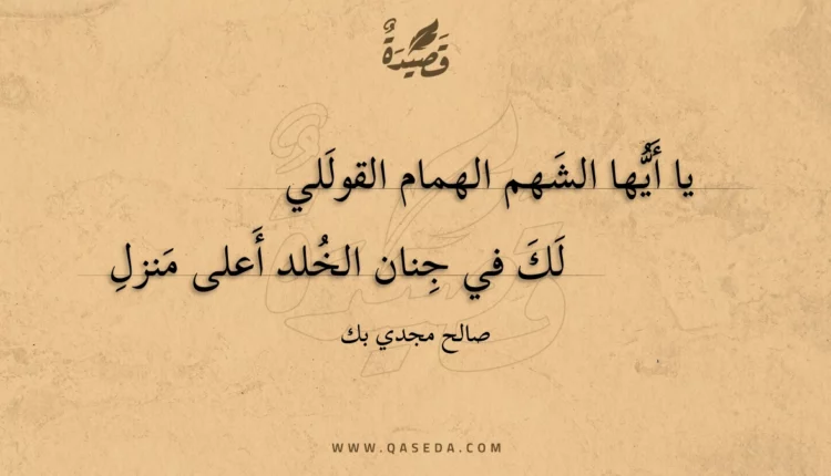 قصيدة يا أيها الشهم الهمام القوللي