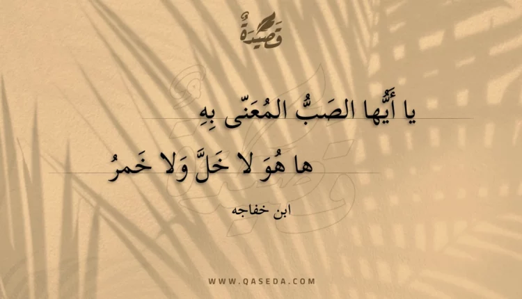 قصيدة يا أيها الصب المعنى به
