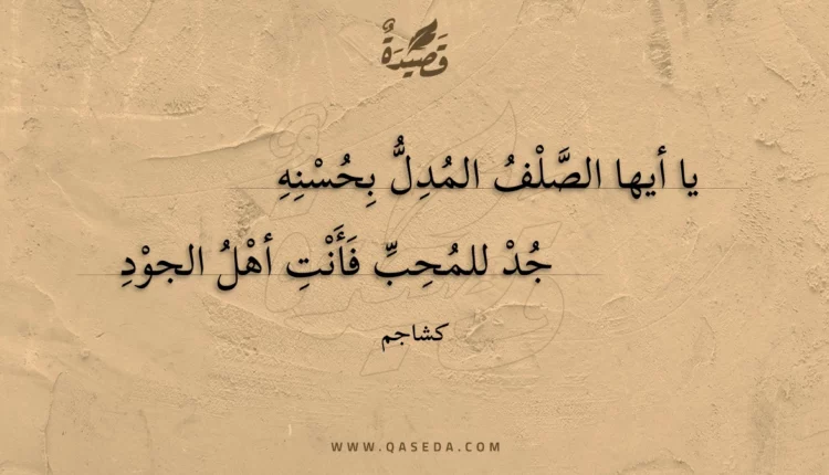 قصيدة يا أيها الصلف المدل بحسنه
