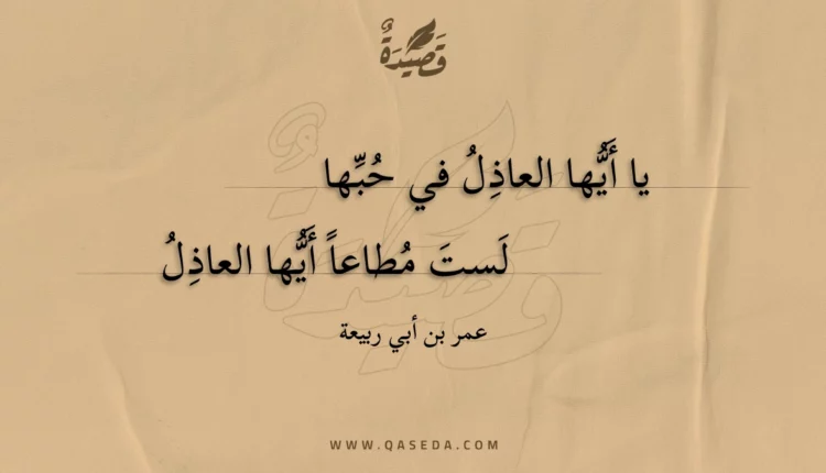 قصيدة يا أيها العاذل في حبها