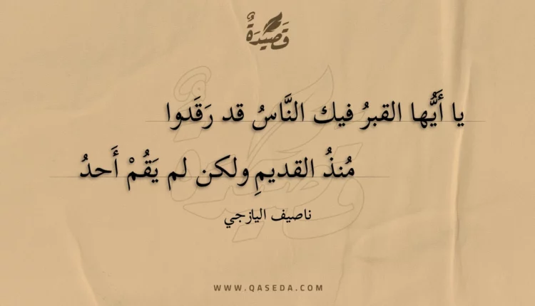 قصيدة يا أيها القبر فيك الناس قد رقدوا