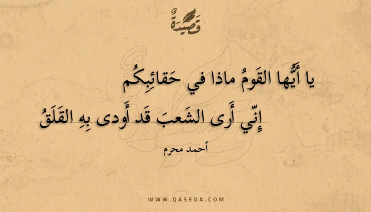 قصيدة يا أيها القوم ماذا في حقائبكم