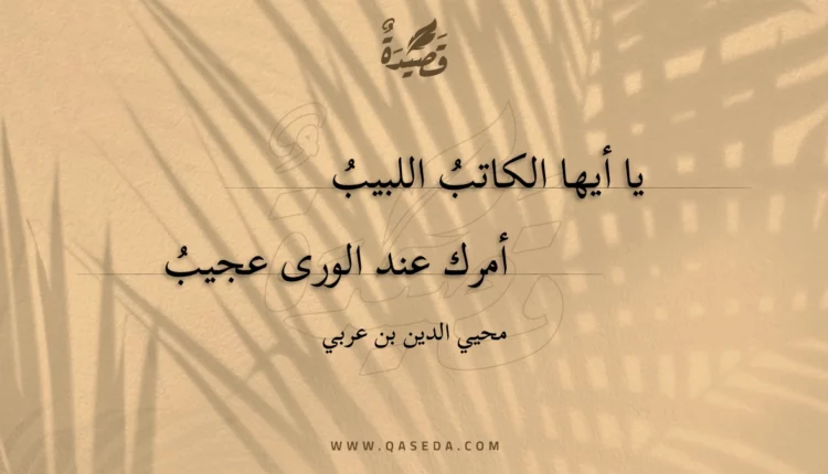 قصيدة يا أيها الكاتب اللبيب