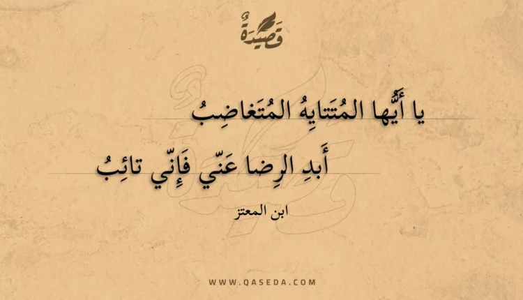 قصيدة يا أيها المتتايه المتغاضب
