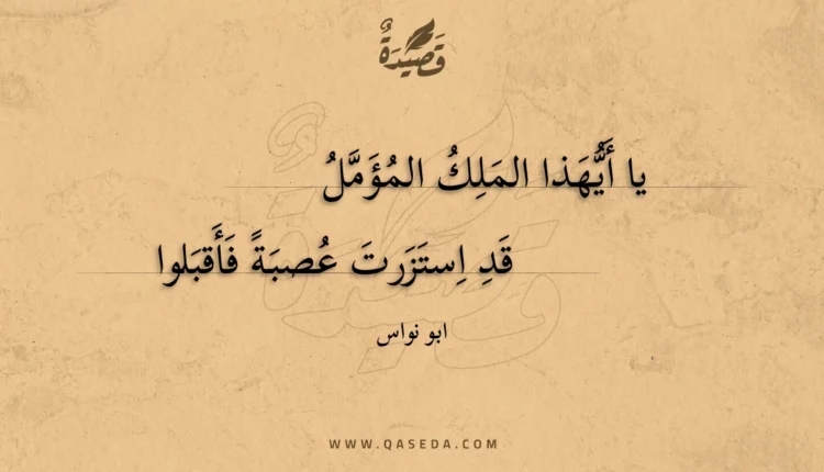 قصيدة يا أيهذا الملك المؤمل
