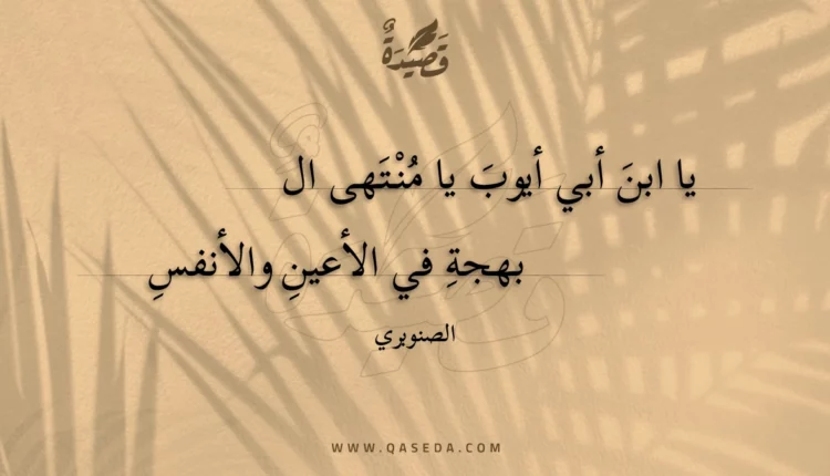 قصيدة يا ابن أبي أيوب يا منتهى البهجة