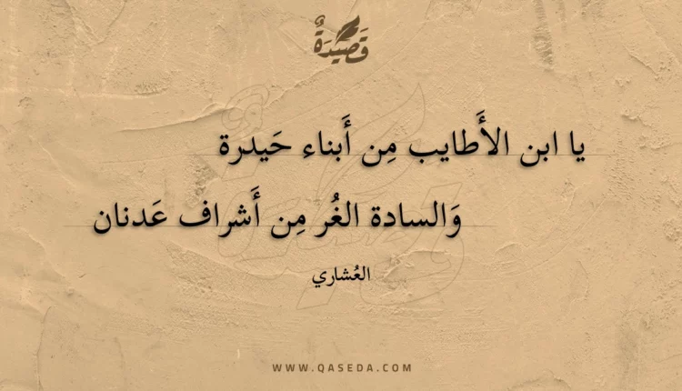 قصيدة يا ابن الأطايب من أبناء حيدرة