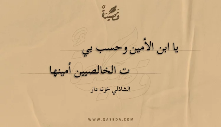 قصيدة يا ابن الأمين وحسب بي