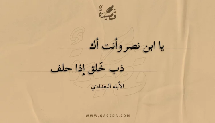 قصيدة يا ابن نصر وأنت أكذب