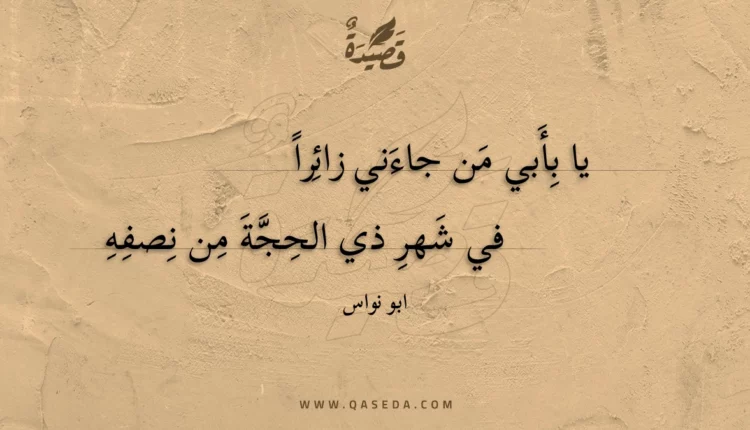 قصيدة يا بأبي من جاءني زائرا