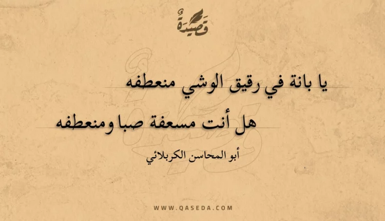 قصيدة يا بانة في رقيق الوشي منعطفه