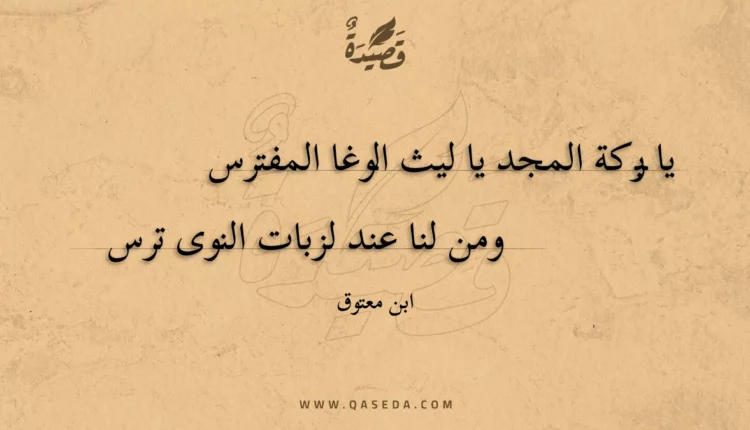 قصيدة يا بركة المجد يا ليث الوغا المفترس