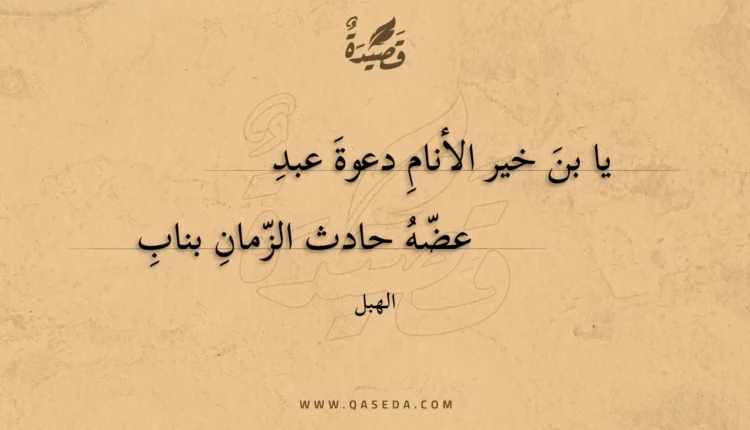 قصيدة يا بن خير الأنام دعوة عبد