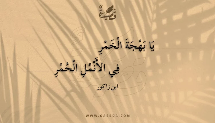 قصيدة يا بهجة الخمر