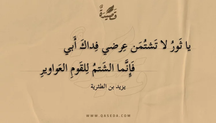 قصيدة يا ثور لا تشتمن عرضي فداك أبي