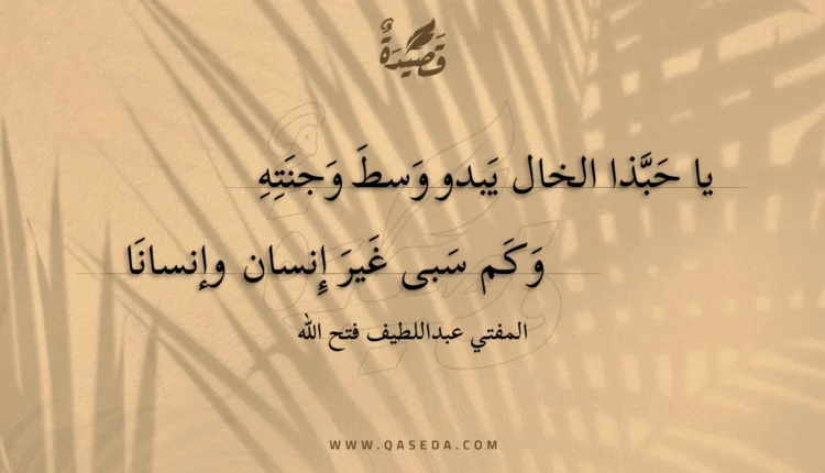 قصيدة يا حبذا الخال يبدو وسط وجنته