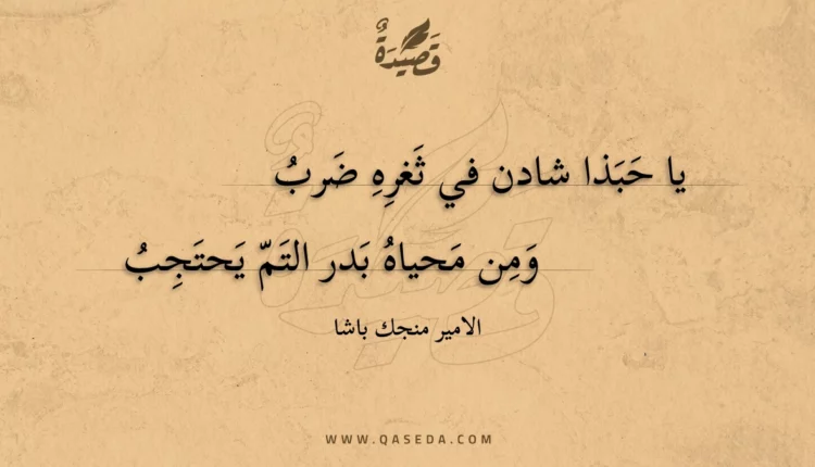 قصيدة يا حبذا شادن في ثغره ضرب