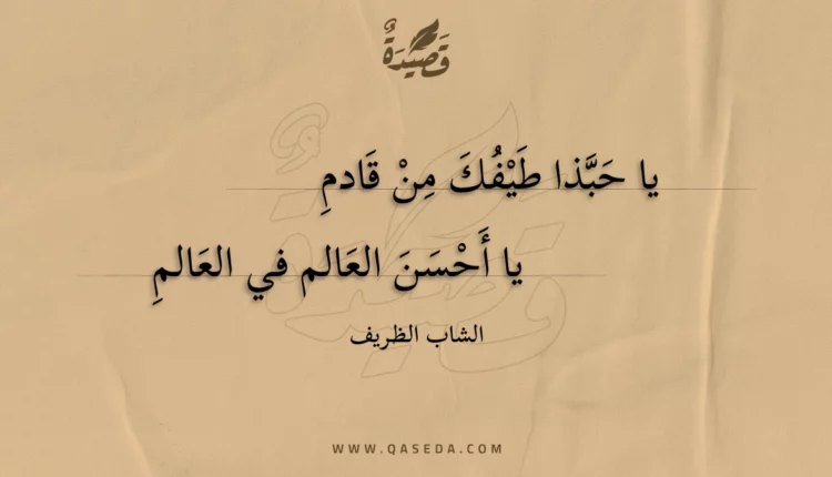 قصيدة يا حبذا طيفك من قادم