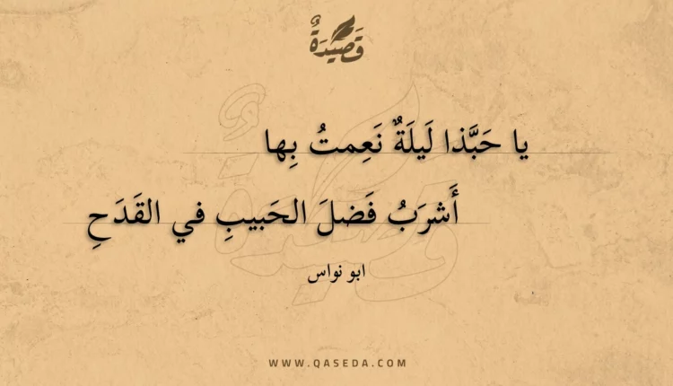 قصيدة يا حبذا ليلة نعمت بها