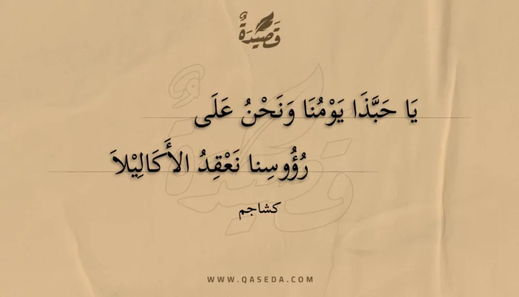 قصيدة يا حبذا يومنا ونحن على