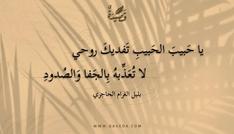 قصيدة يا حبيب الحبيب تفديك روحي
