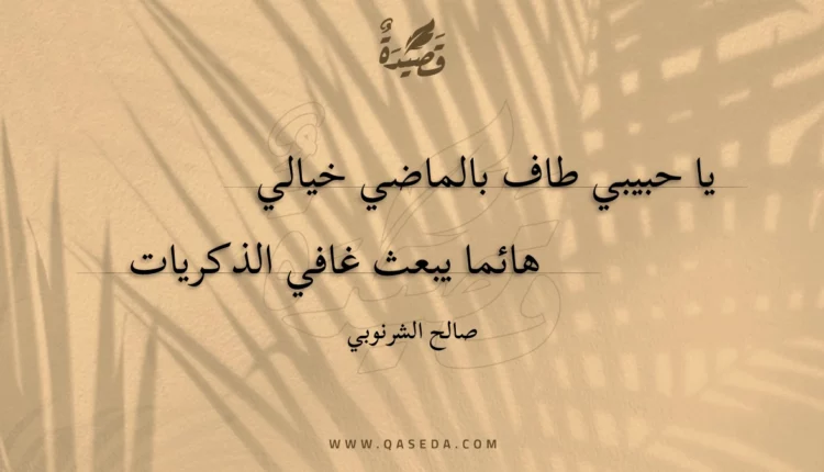 قصيدة يا حبيبي طاف بالماضي خيالي