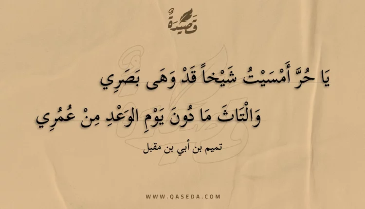 قصيدة يا حر أمسيت شيخا قد وهى بصري